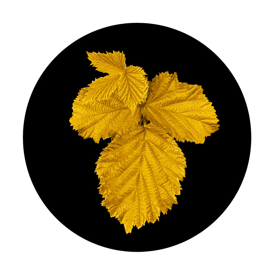 Series 7 - Image 2 - 2022 (20.8x20.8cm)