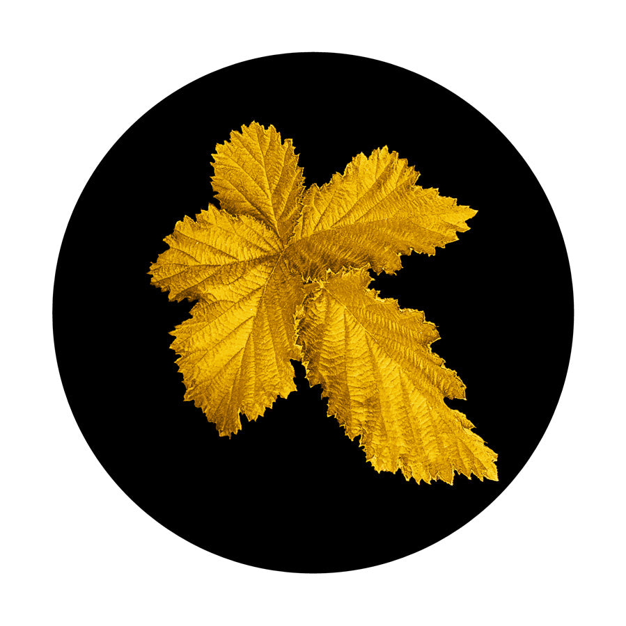 Series 7 - Image 3 - 2022 (20.8x20.8cm)