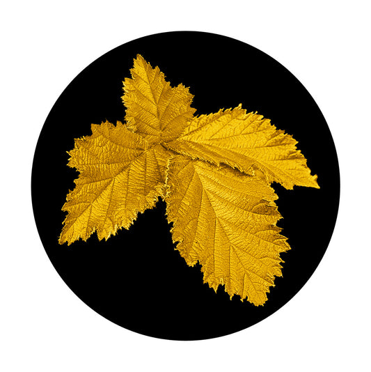 Series 7 - Image 5 - 2022 (20.8x20.8cm)